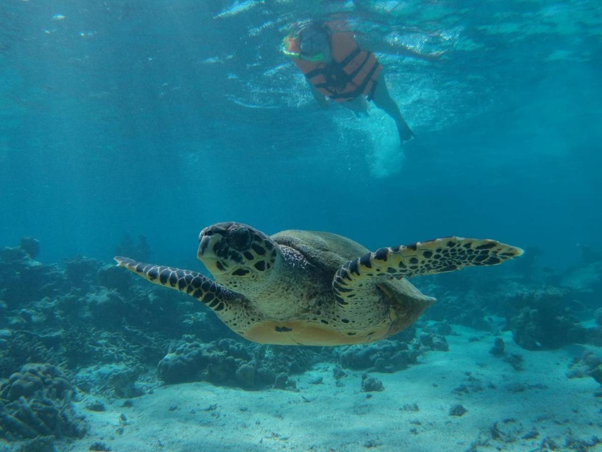 Chambao Maldives Hotel Guraidhoo  Bagian luar foto